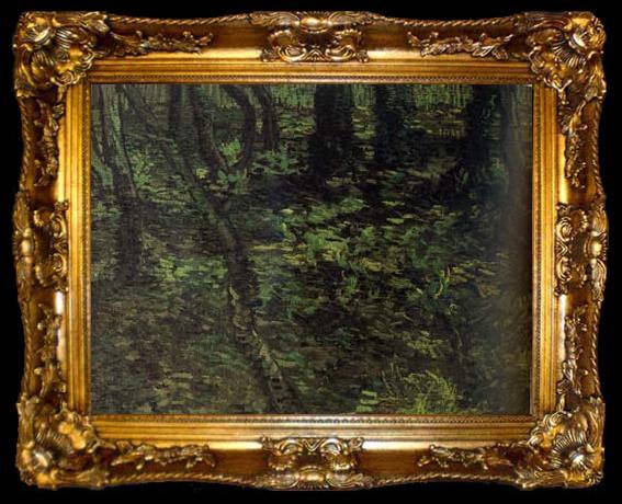 framed  Vincent Van Gogh Undergrowth with Ivy (nn04), ta009-2